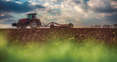 El Niño favorecería la cosecha argentina: mejoran las proyecciones de soja y maíz