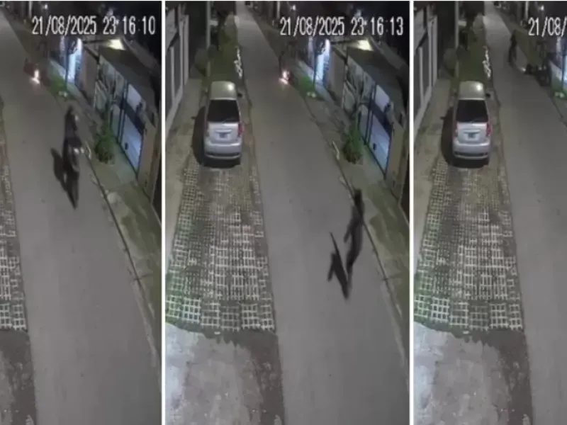 VIDEO | "¡Ayuda, ayuda, me están robando!": el desgarrador grito de un joven que frustró a las piñas un robo en Los Hornos