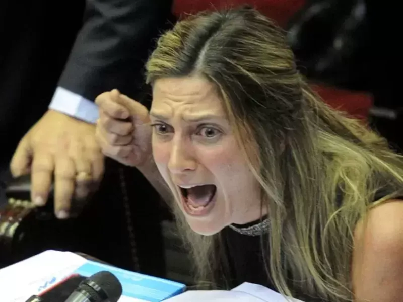 “Dijo una cosa y votó otra”: fuerte malestar en el PRO por el sorpresivo voto de Silvia Lospennato