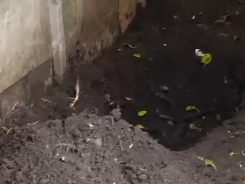 Horror en Almirante Brown: un nene de 12 años encontró el cuerpo de su madre enterrado en el patio de su casa