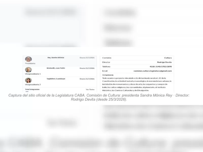 La motosierra no pasó por la casa de la diputada Sandra Rey: nombró a su hijo como director de la comisión que preside