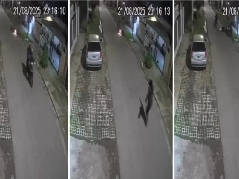 VIDEO | "¡Ayuda, ayuda, me están robando!": el desgarrador grito de un joven que frustró a las piñas un robo en Los Hornos