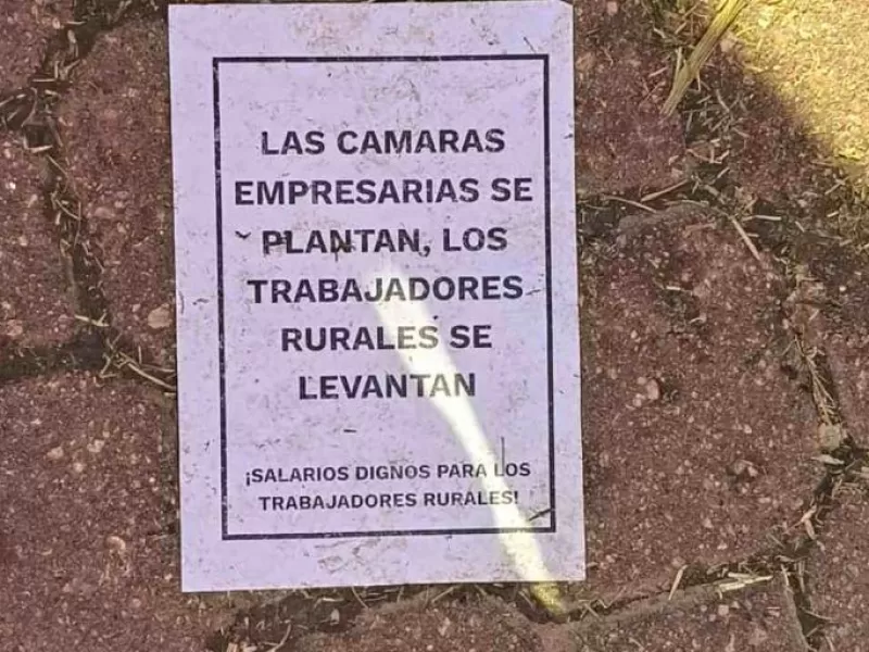 El "plant&oacute;n" de los millones: la hipocres&iacute;a de Voytenco pagada con la plata de los peones rurales